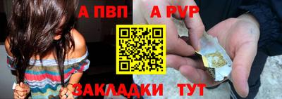 шишки Тара