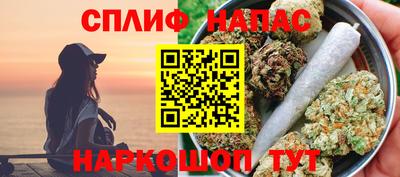 шишки Тара