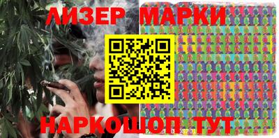 шишки Тара