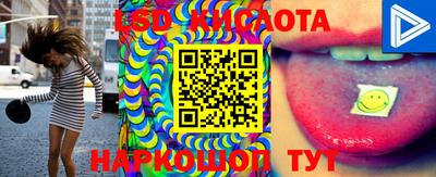 шишки Тара