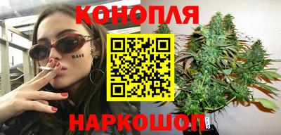 шишки Тара