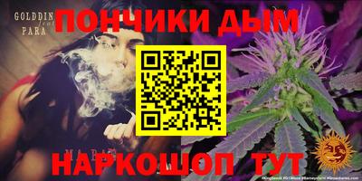 шишки Тара