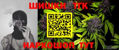 шишки Тара