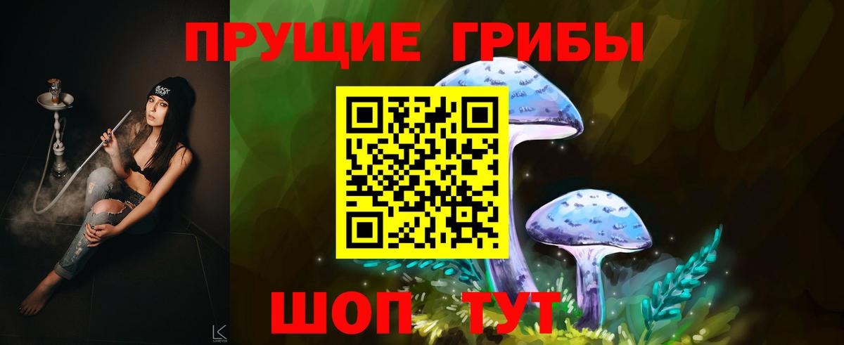 Можайск  купить наркоту  Вход с VPN  Псилоцибиновые грибы Psilocybine cubensis  Псилоцибиновые грибы Psilocybe 